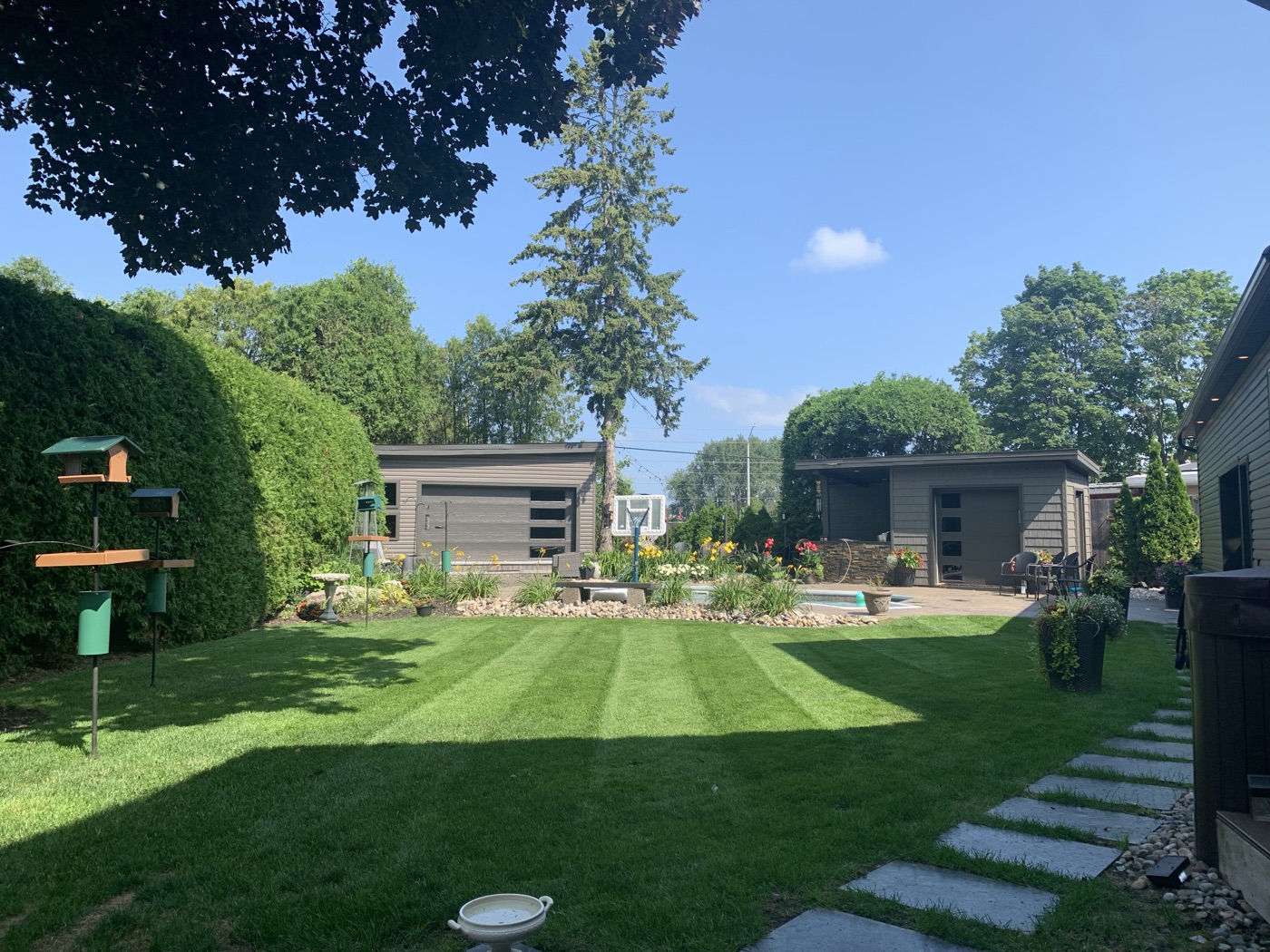Finished backyard with striped lawn, gardens and pool