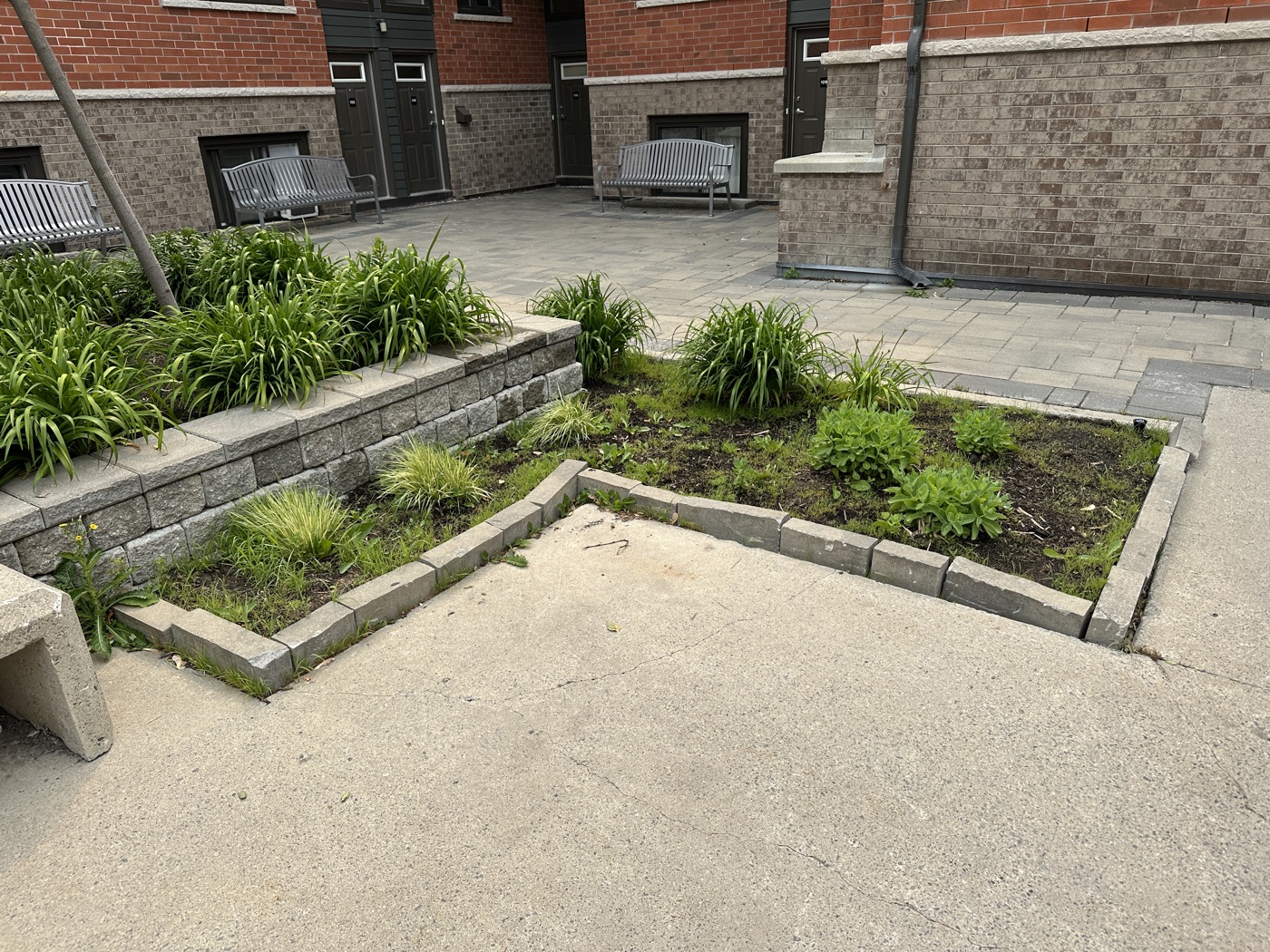 Commercial courtyard with interlock and stone planters