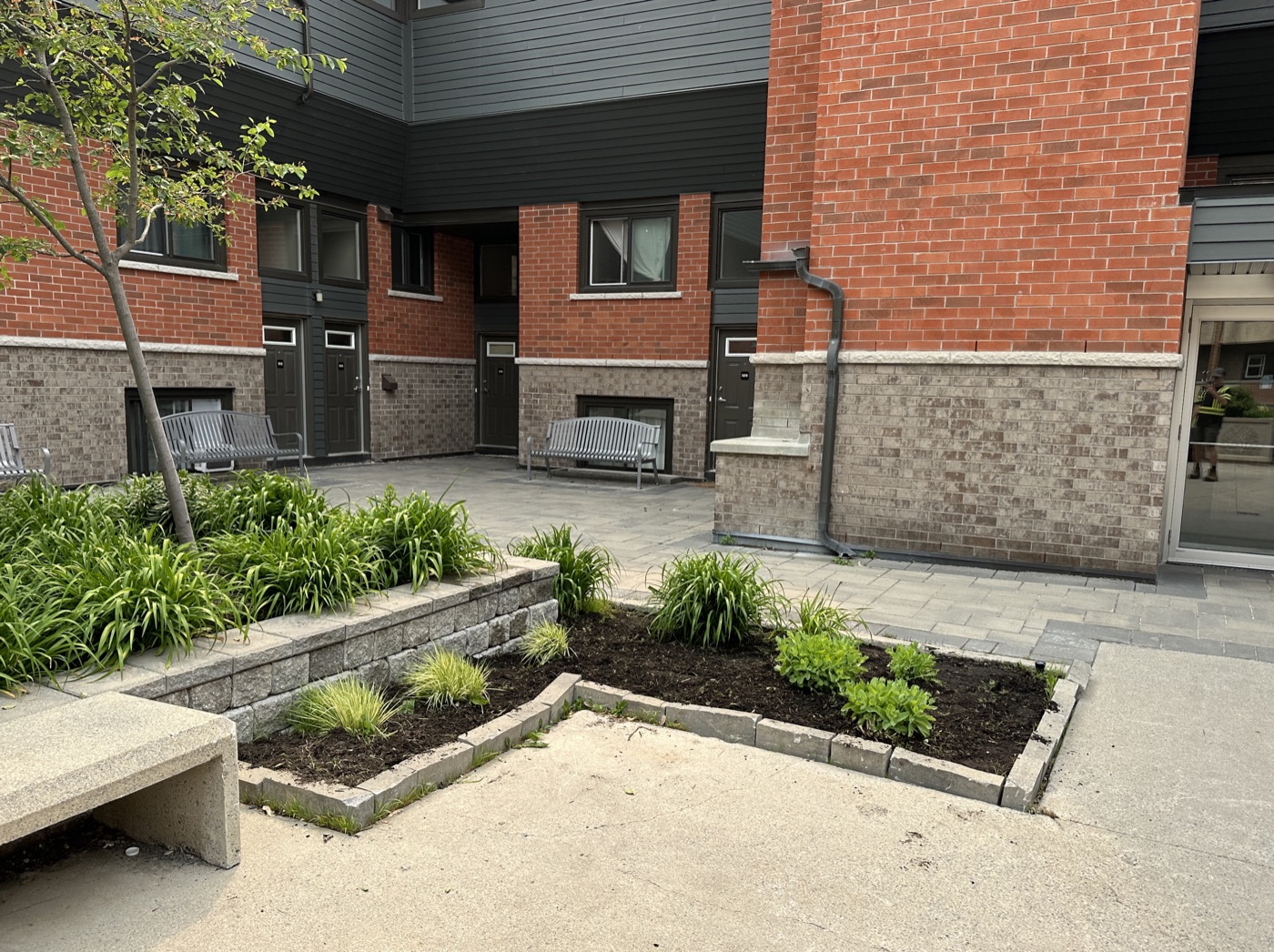 Commercial property landscaping with planted beds