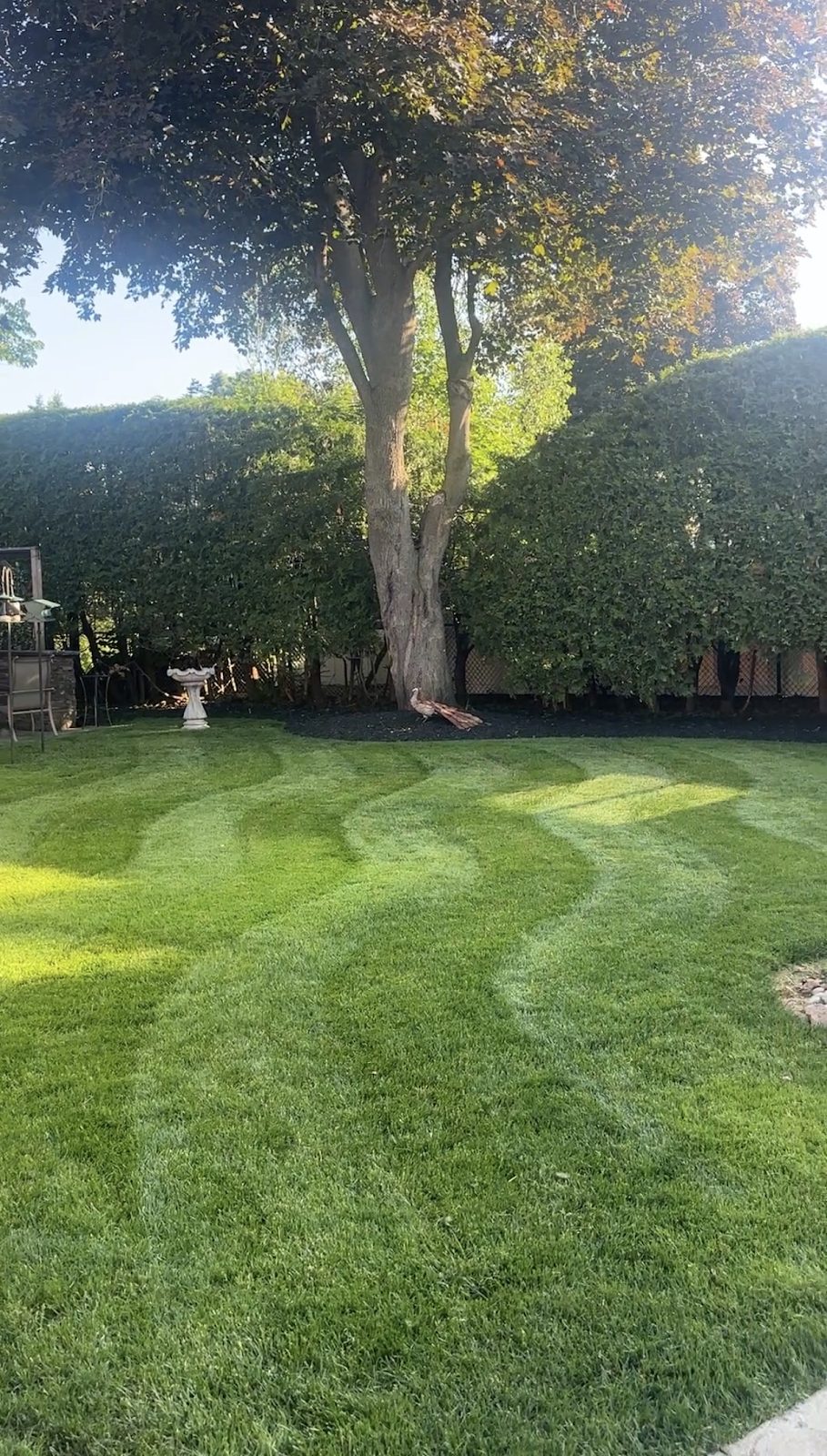 Lawn care