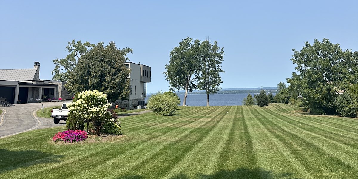 Professional lawn care