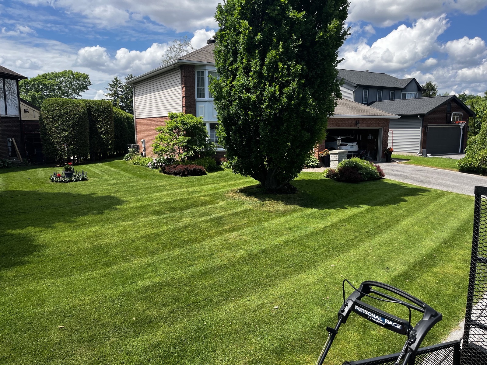 Freshly mowed and striped front yard lawn