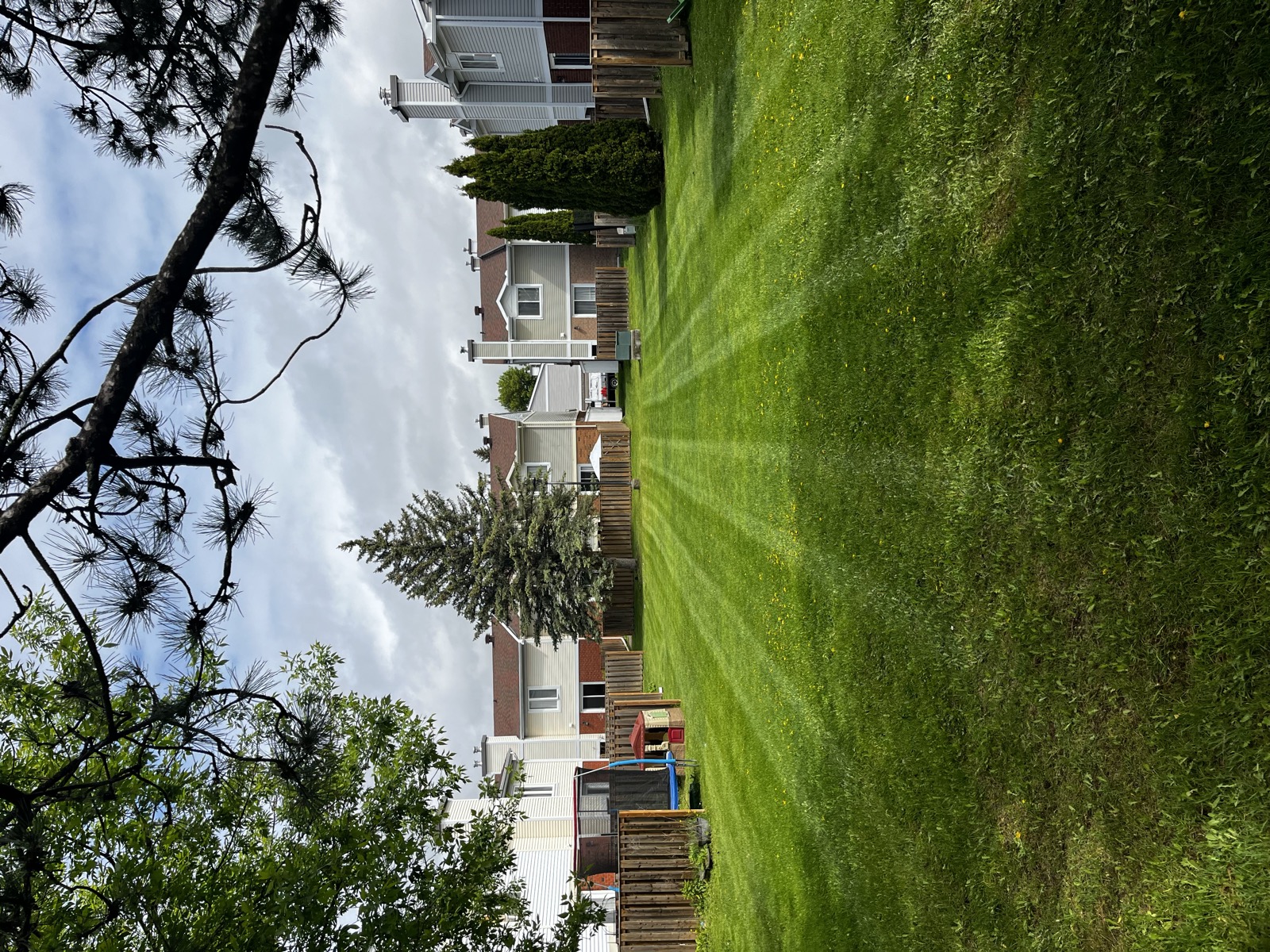 Freshly striped residential backyard lawn