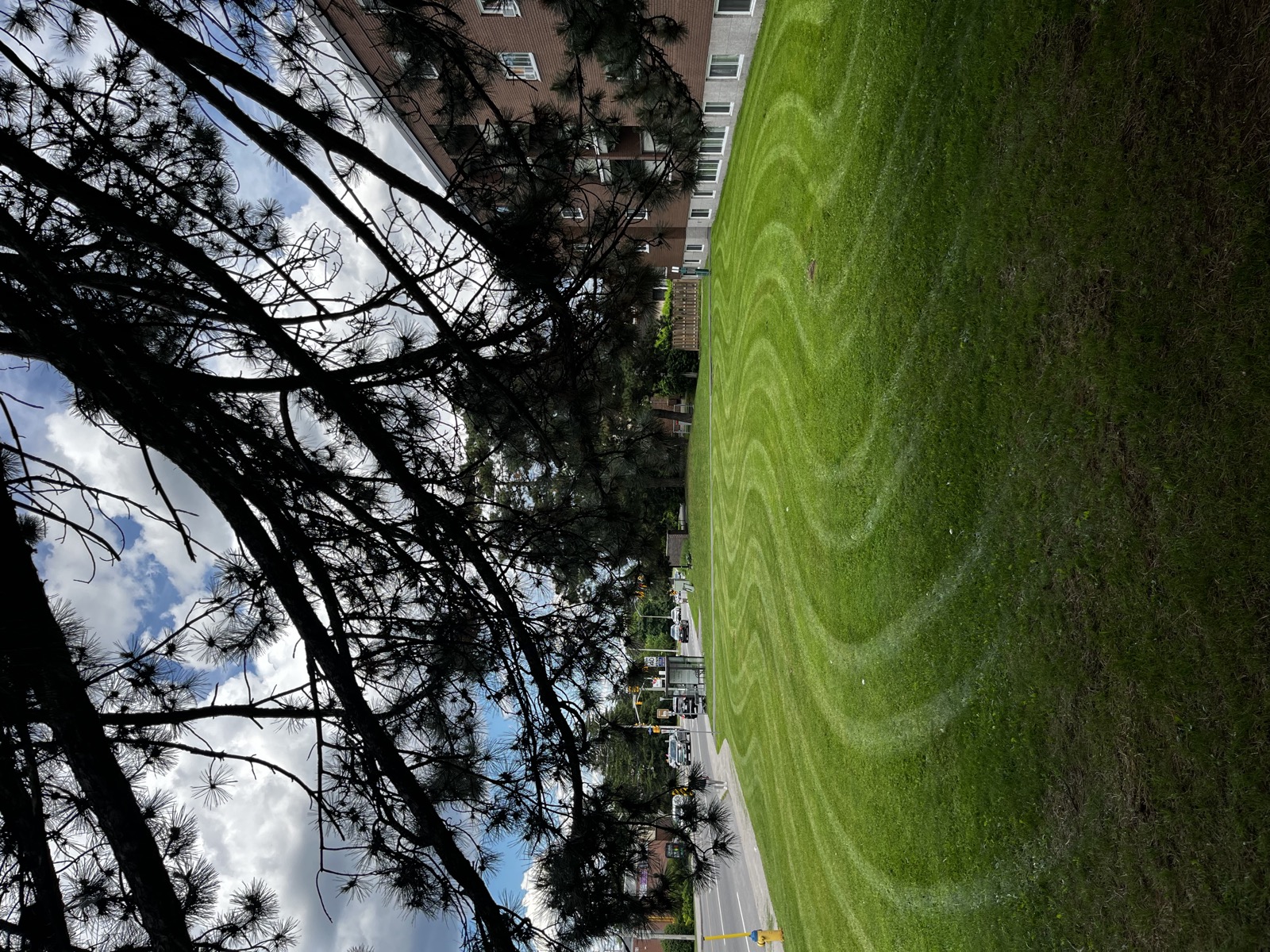 Sweeping striped lawn at a commercial property