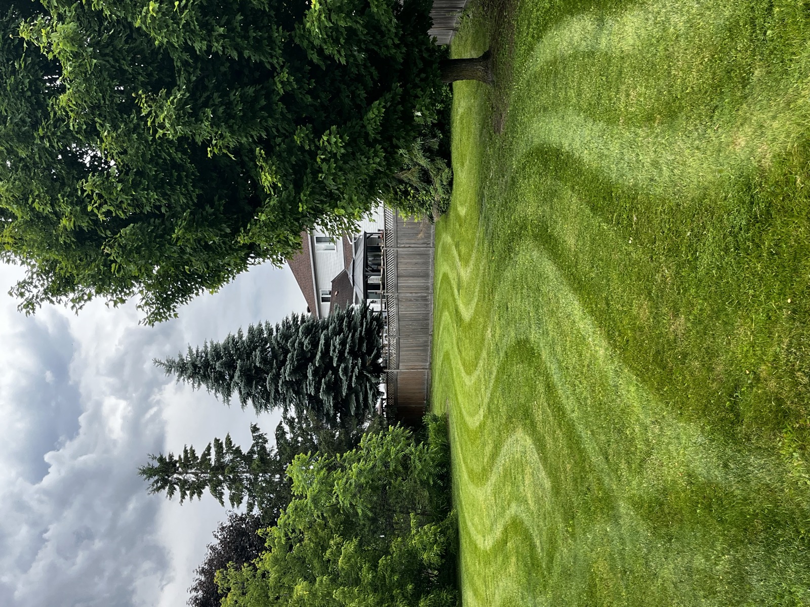Curved stripe pattern mowed into a backyard lawn