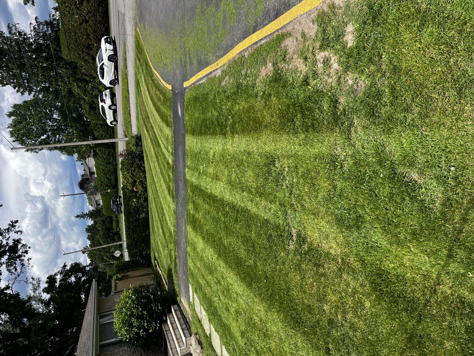 Crisp striped lawn along a residential driveway and road