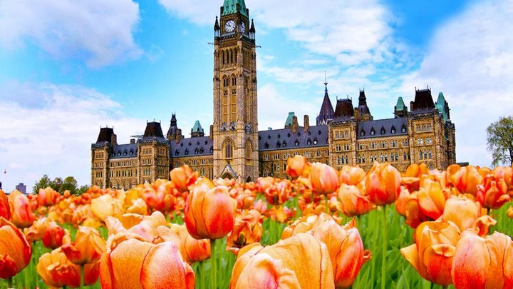 Parliament Hill in Ottawa with spring tulips